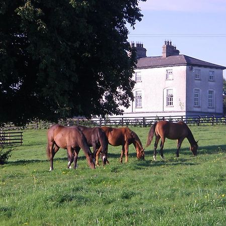 Glebe House Guest House Taghshinny Bagian luar foto