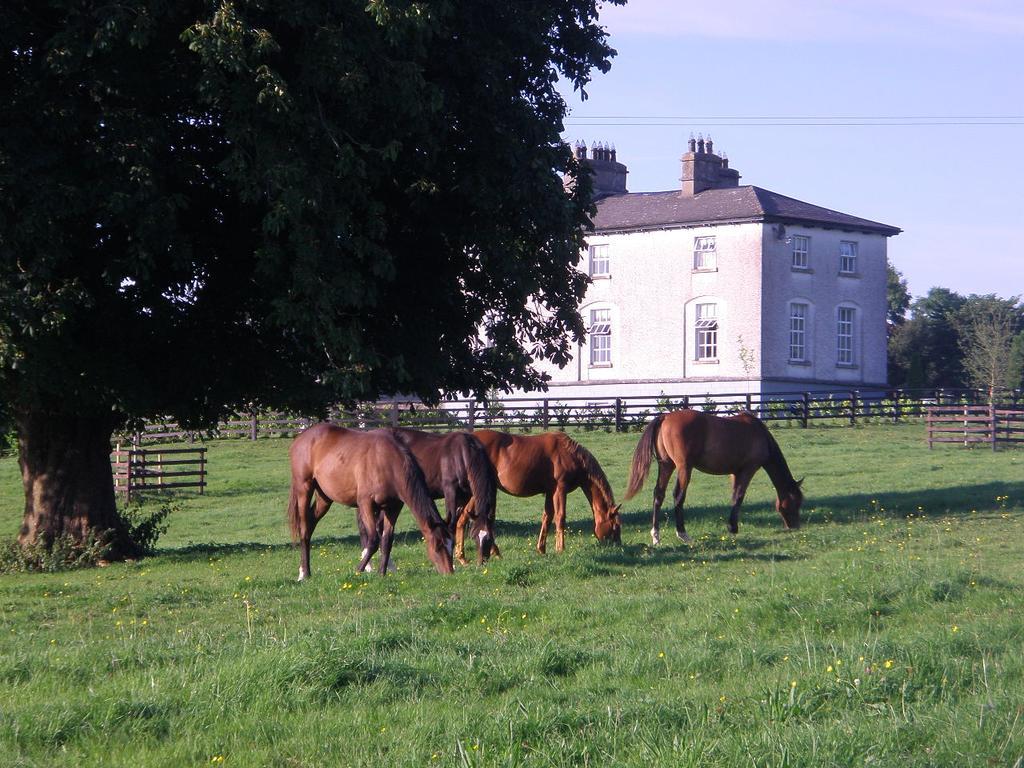 Glebe House Guest House Taghshinny Bagian luar foto